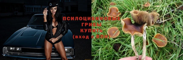 ешки Абинск